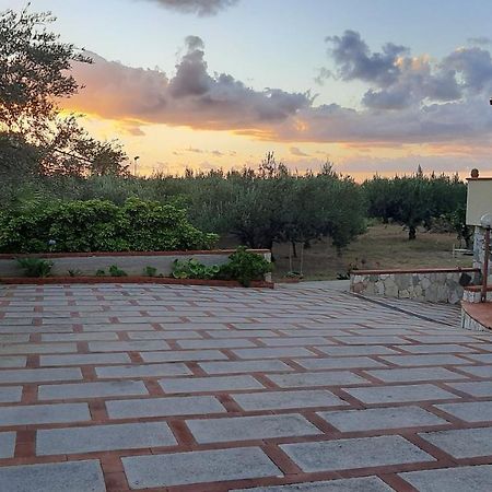 Casanonnavittoria Bed & Breakfast Теразини Екстериор снимка